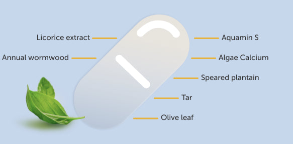 Aerovital