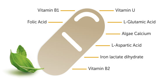 RevitaSol